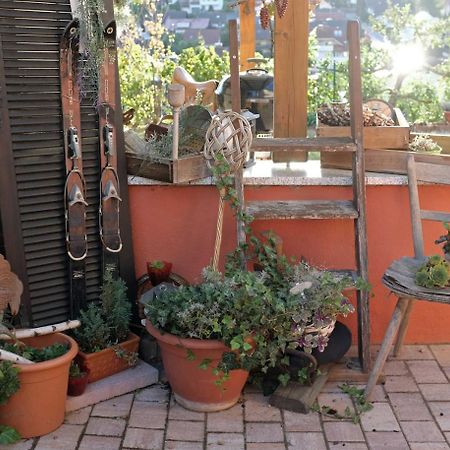 Ferienwohnung Im Paradies Momlingen المظهر الخارجي الصورة