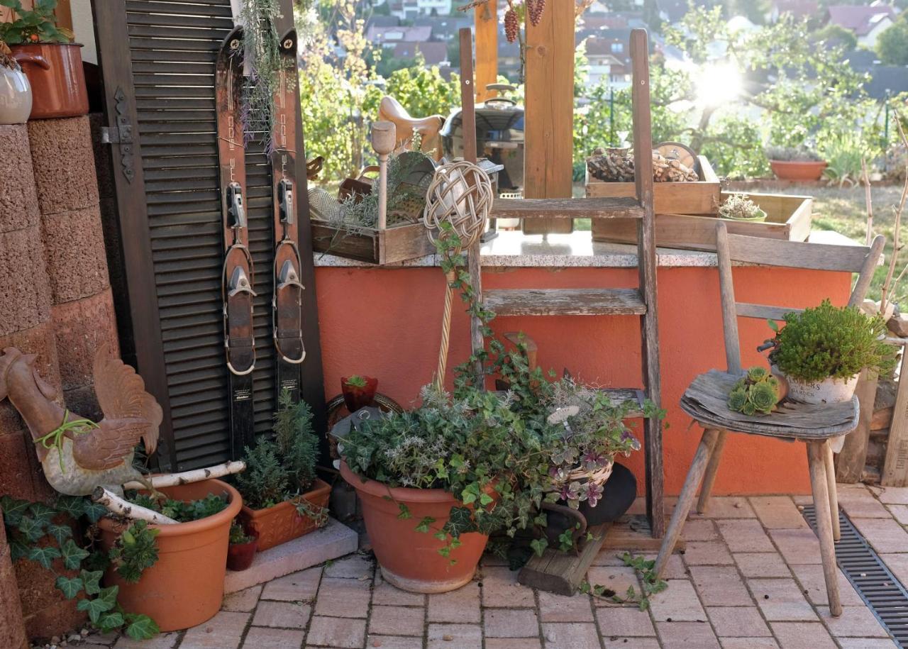 Ferienwohnung Im Paradies Momlingen المظهر الخارجي الصورة