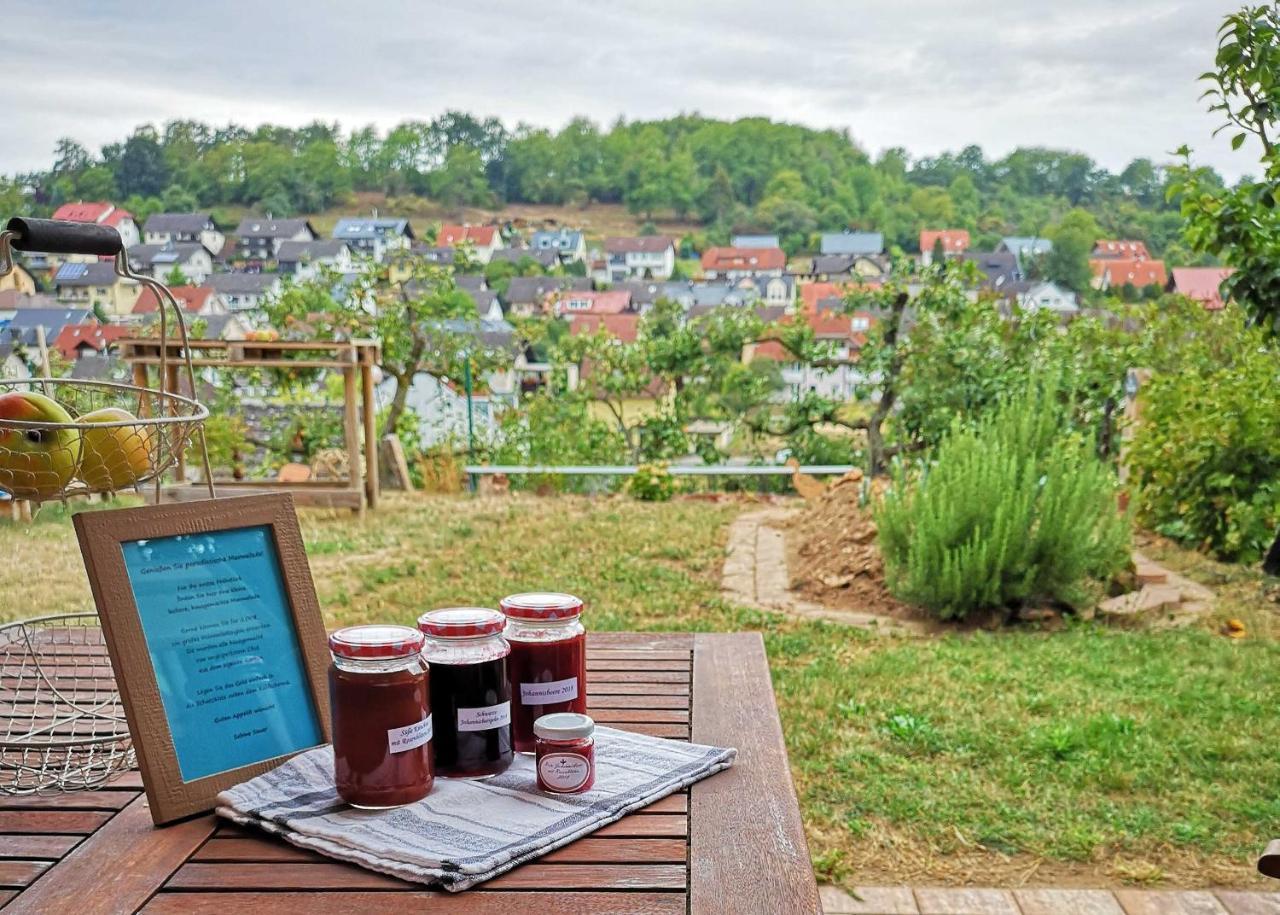 Ferienwohnung Im Paradies Momlingen المظهر الخارجي الصورة